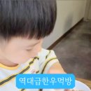 한우반마리 이미지