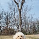 석촌근린공원 이미지