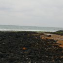 구좌 해안도로 이미지