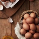 추구농장 이미지