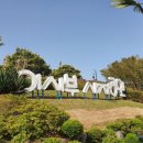 삼척해수욕장 이미지