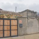 스테이 뮤트 이미지