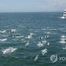 대왕암공원1(무인계수기) 이미지