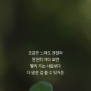 플렉스펜션