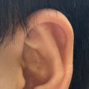 서울장신대학교 자연치유선교대학원 이미지