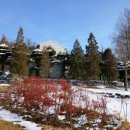 새싹, 화합 이미지