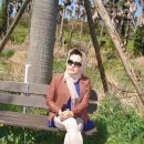 즐거운제주여행 Daum카페