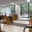 푸른솔로 | 나의 출산 후 다이어트 방법 및 체중변화 기록