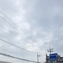 계획2 맛집 '만복정' 밴댕이회 무침부터 쑥찐빵까지! -강화풍물시장 5일장 대성공 후기 (평일 장날, 주차)