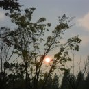 화동공원 이미지