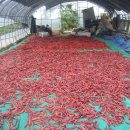 호야농장 이미지