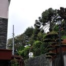 유신교역 | [난학(蘭學)] 네덜란드를 통해 세계를 보고 배우고 맛보기 - 오란다와 네널란드