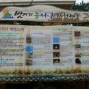 밤섬마을회관 Daum카페