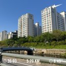 (주)평화산소 | 서울신문 하프마라톤 2025 러닝초보 10km 완주 기록 및 후기와 억울했던 사연