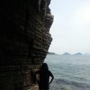 고성공룡박물관야영장 이미지