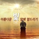 5252 Daum카페