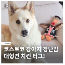 코스트코 강아지 장난감 추천! 가성비 터그, 내돈내산 후기