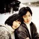 국화꽃향기 이미지