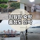 테마민박 | [ 강원 삼척 ] 부모님과 함께한 임원항 숙박, 충청도민박 솔직후기 (시설/ 위치/ 주차 등)