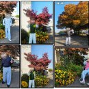 부여노인전문병원 이미지