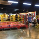 복싱피플 이미지