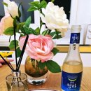 가평 카라반힐스 풀빌라 펜션 이미지