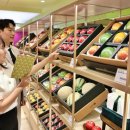 농부청과 이미지