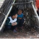 영양중앙초교병설유치원 이미지