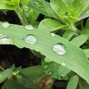 구례백두대간생태교육장 | 구례 백두대간 생태교육장