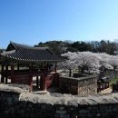 고창읍성 이미지