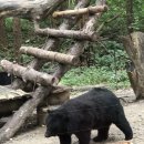 월드밸리 이미지