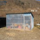 하천리-6 이미지