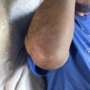 에이치피알 이미지