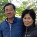 천수향