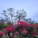 원당공원 화장실 이미지