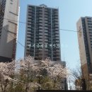 대림플러스공인중개사사무소 이미지