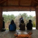 성심부동산