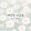 롤링스타롤러장
