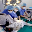 만수동물병원 이미지