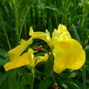 황강종주로-1 이미지