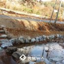 추평천 이미지