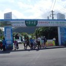 곶자왈거문오름 이미지