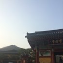 진천경희한의원 이미지