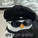 행운냥이 이미지