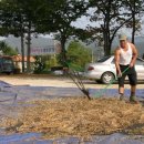 구성농장 이미지