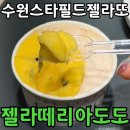 도도네 | 젤라떼리아 도도 스타필드 수원｜쫀득한 젤라또 내돈내산 솔직후기