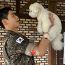 국방부근무지원단 | 군인 차은우, 수료식에서 대표 훈련병으로 활약…반려견과의 감동적인 재회도 화제