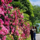 농업테마파크 이미지