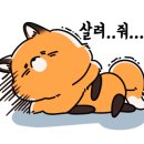 글로벌레인보우유치원 이미지