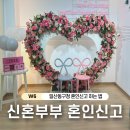 일산동구청 | W6. 일산동구청 혼인신고 하는법 증인 준비물 정리 (결혼 전 혼인신고하기)